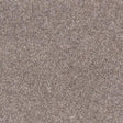 Royal Charter Deluxe Rose Tea Carpet - Rose Tea / 2.5m