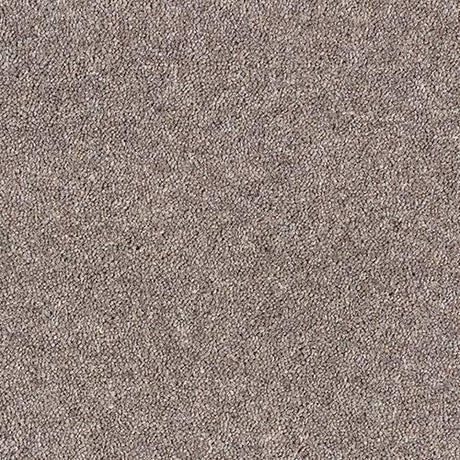 Royal Charter Deluxe Rose Tea Carpet - Rose Tea / 2.5m