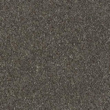 Royal Charter Deluxe Charcoal Carpet - Charcoal / 2.5m