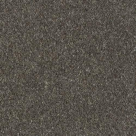 Royal Charter Deluxe Charcoal Carpet - Charcoal / 2.5m