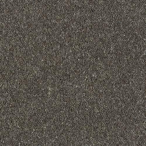 Royal Charter Deluxe Charcoal Carpet - Charcoal / 2.5m