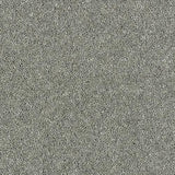 Royal Charter Deluxe Silver Shadow Carpet - Silver Shadow / 2.5m