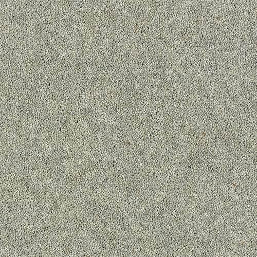 Royal Charter Deluxe Silver Birch Carpet - Silver Birch / 2.5m