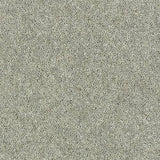 Royal Charter Deluxe Silver Birch Carpet - Silver Birch / 2.5m