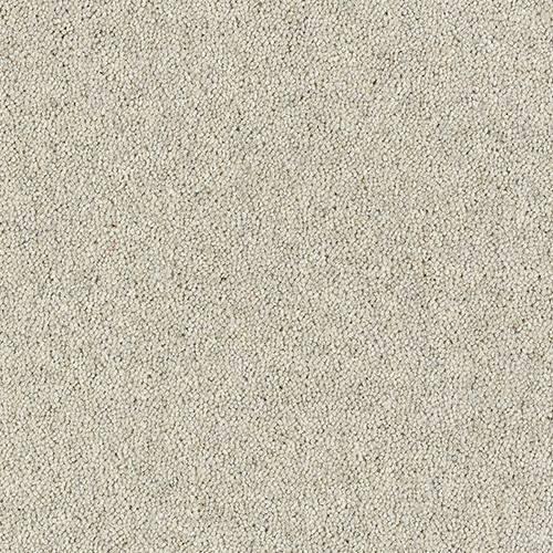 Royal Charter Deluxe Pearl Carpet - Pearl / 2.5m