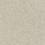 Royal Charter Deluxe Pearl Carpet - Pearl / 2.5m