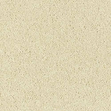 Royal Charter Deluxe Snowdrop Carpet - Snowdrop / 2.5m