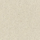 Royal Charter Deluxe Ivory Carpet - Ivory / 2.5m