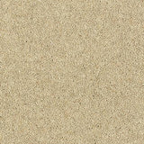 Royal Charter Deluxe Drop Cloth Carpet - Drop Cloth / 2.5m