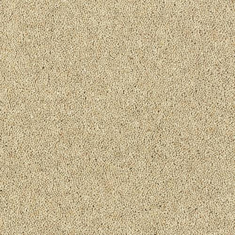 Royal Charter Deluxe Drop Cloth Carpet - Drop Cloth / 2.5m