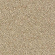 Royal Charter Deluxe Moccasin Carpet - Moccasin / 2.5m