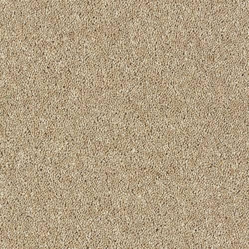 Royal Charter Deluxe Moccasin Carpet - Moccasin / 2.5m