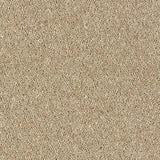 Royal Charter Deluxe Moccasin Carpet - Moccasin / 2.5m