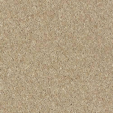 Royal Charter Deluxe Moccasin Carpet - Moccasin / 2.5m