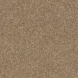 Royal Charter Deluxe Oatmeal Carpet - Oatmeal / 2.5m