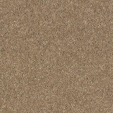 Royal Charter Deluxe Oatmeal Carpet - Oatmeal / 2.5m