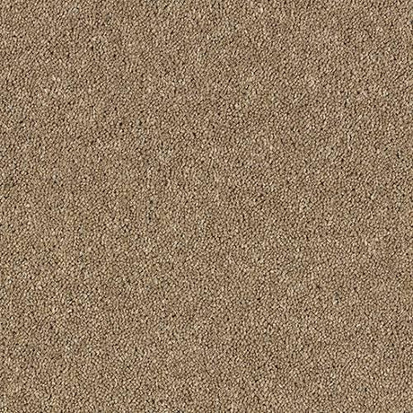 Royal Charter Deluxe Oatmeal Carpet - Oatmeal / 2.5m