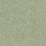 Royal Charter Deluxe Sage Green Carpet - Sage Green / 2.5m
