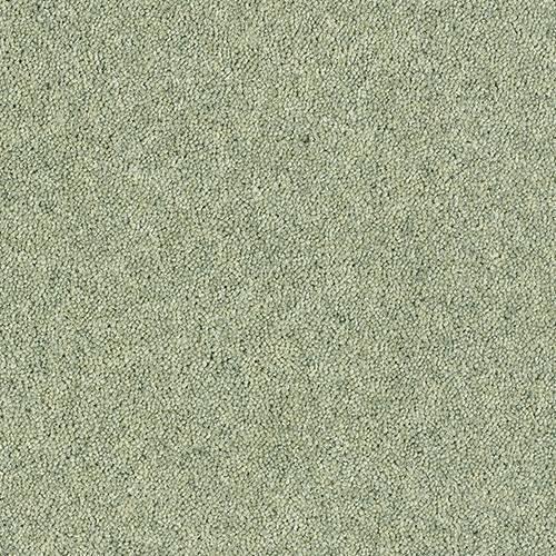 Royal Charter Deluxe Sage Green Carpet - Sage Green / 2.5m