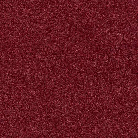 Royal Charter Deluxe Cardinal Red Carpet - Cardinal Red / 2.5m