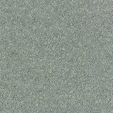 Sophisticat Platinum Carpet - Platinum / 2.5m