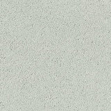 Sophisticat Silk Carpet - Silk / 2.5m