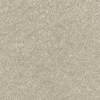 Sophisticat Mink Carpet - Mink / 2.5m