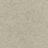 Sophisticat Mink Carpet - Mink / 2.5m