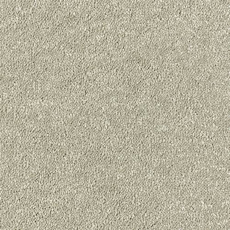 Sophisticat Mink Carpet - Mink / 2.5m