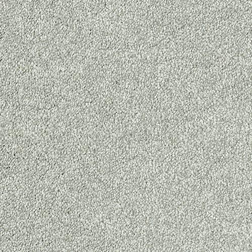 Sophisticat Silver Carpet - Silver / 2.5m