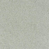 Sophisticat Suede Carpet - Suede / 2.5m