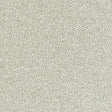 Sophisticat Champagne Carpet - Champagne / 2.5m