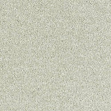 Sophisticat Champagne Carpet - Champagne / 2.5m