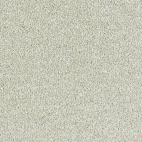 Sophisticat Champagne Carpet - Champagne / 2.5m