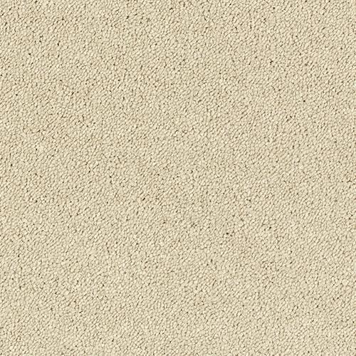 Sophisticat Cotton Carpet - Cotton / 2.5m