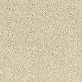 Sophisticat Cotton Carpet - Cotton / 2.5m