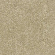 Sophisticat Latte Carpet - Latte / 2.5m