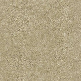 Sophisticat Latte Carpet - Latte / 2.5m