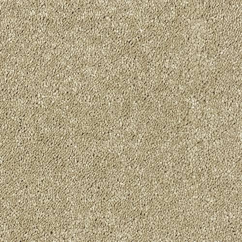 Sophisticat Latte Carpet - Latte / 2.5m