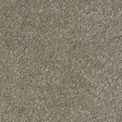 Sophisticat Mocha Carpet - Mocha / 2.5m