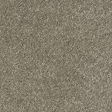 Sophisticat Mocha Carpet - Mocha / 2.5m