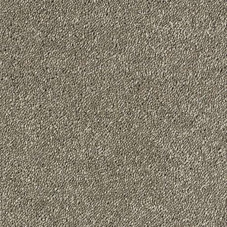 Sophisticat Mocha Carpet - Mocha / 2.5m