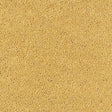 Sophisticat Gold Carpet - Gold / 2.5m