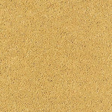Sophisticat Gold Carpet - Gold / 2.5m