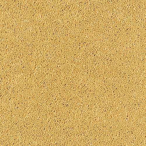 Sophisticat Gold Carpet - Gold / 2.5m