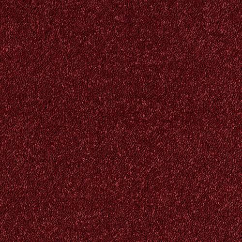 Sophisticat Rioja Carpet - Rioja / 2.5m