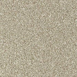 Country Life Limestone Carpet - Limestone / 2.5m