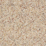 Wild Silk Ivory Lace Carpet - Ivory Lace / 2.5m