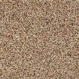 Wild Silk Cinnamon Carpet - Cinnamon / 2.5m