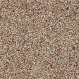 Wild Silk Treasure Island Carpet - Treasure Island / 2.5m